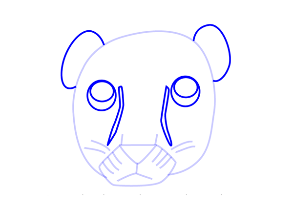 /uploads/image/2021/05/01/How to Draw a Cougar Face for Kids4.png